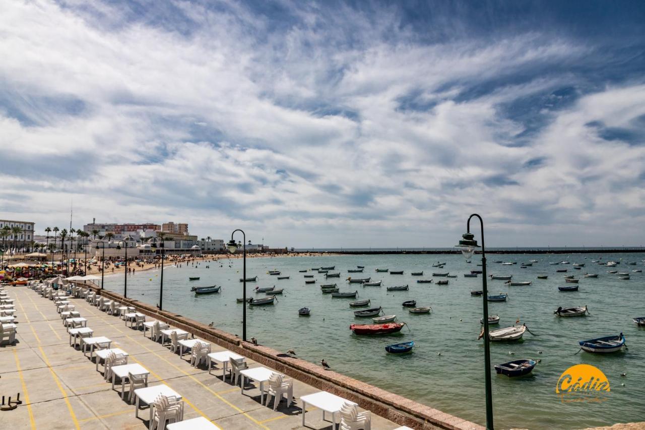 Apartamento La Luz de la Viña - WIFI - PETFRIENDLY - ECOFRIENDLY Cádiz Exterior foto